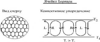 Концепция самоорганизации