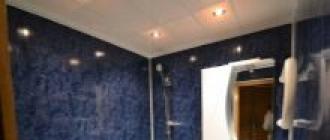 Zidne ploče za kupaonice - vrste i značajke proračunske završne obrade Kakva plastika postoji za kupaonicu